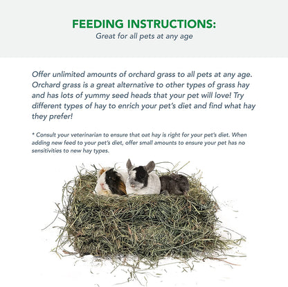 Orchard Grass for Rabbits & Small Pets, 5 Lbs