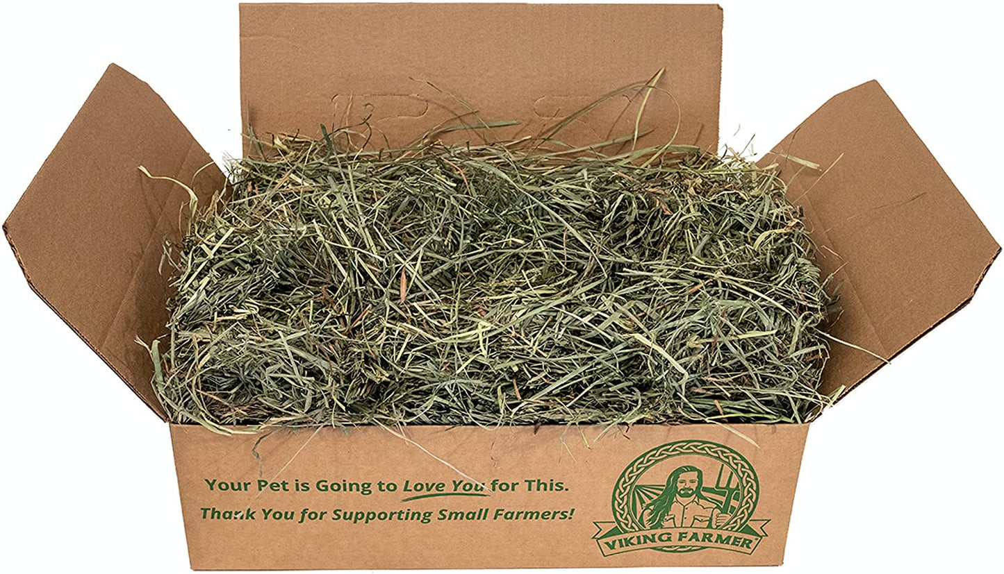 Orchard Grass for Rabbits & Small Pets, 5 Lbs