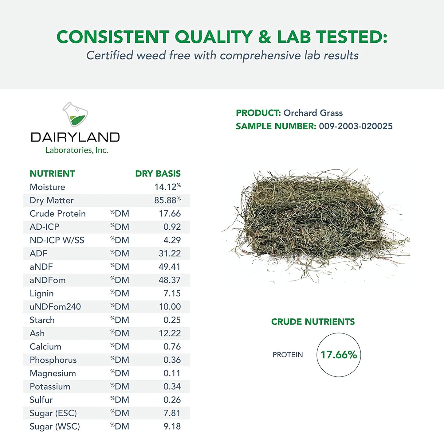Orchard Grass for Rabbits & Small Pets, 5 Lbs