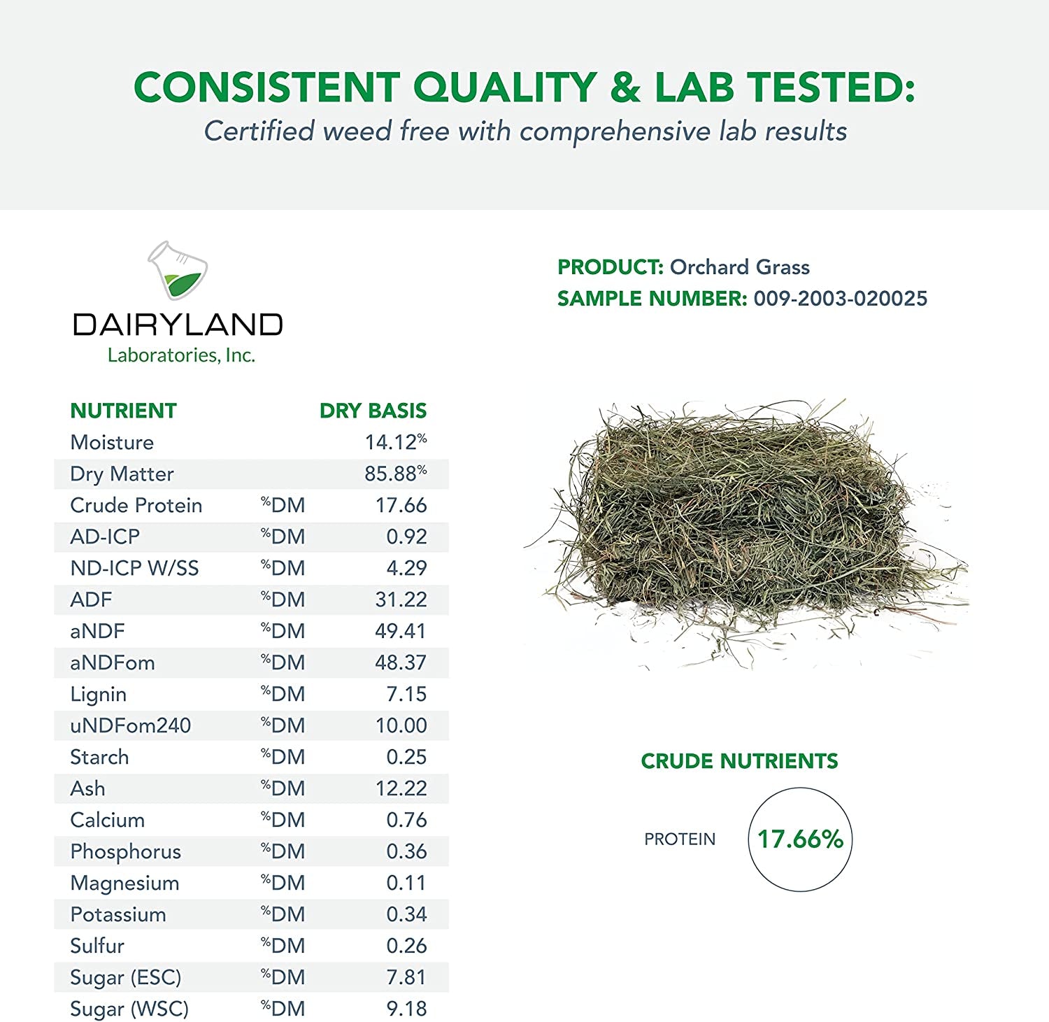 Orchard Grass for Rabbits & Small Pets, 5 Lbs