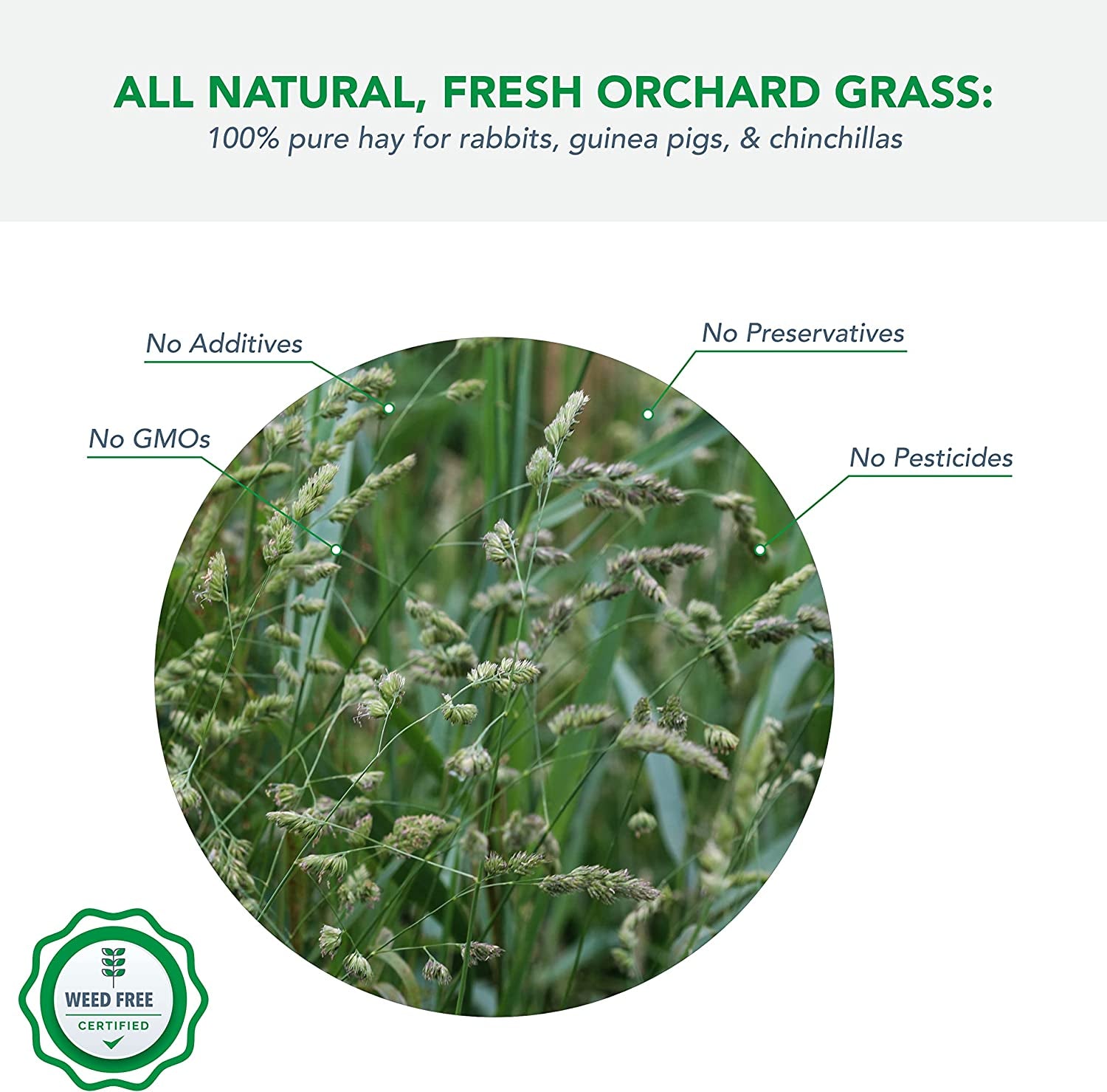 Orchard Grass for Rabbits & Small Pets, 5 Lbs