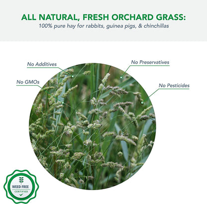 Orchard Grass for Rabbits & Small Pets, 5 Lbs