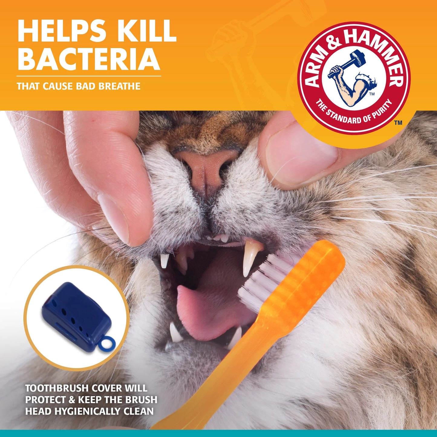 Advanced Care Training Dental Toothbrush Kit for Cats & Kittens