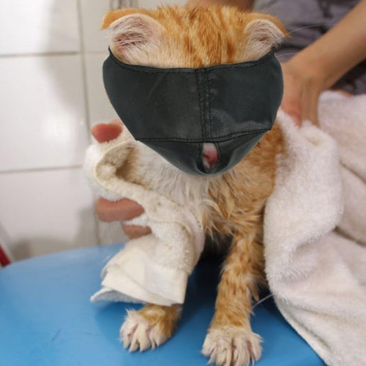 Nylon Cat Muzzle, Face Mask, Groomer Helper, Grooming Tools for Preventing Scratches and Anti-Biting, Black (L)